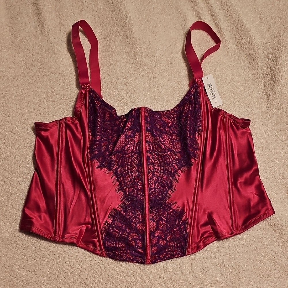 Adore Me 2x *NWT* Elegant Deep Pink and Purple Lace Bustier